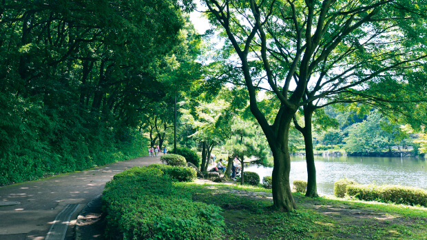 こども自然公園 イメージ